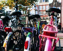 In bicicletta in Olanda