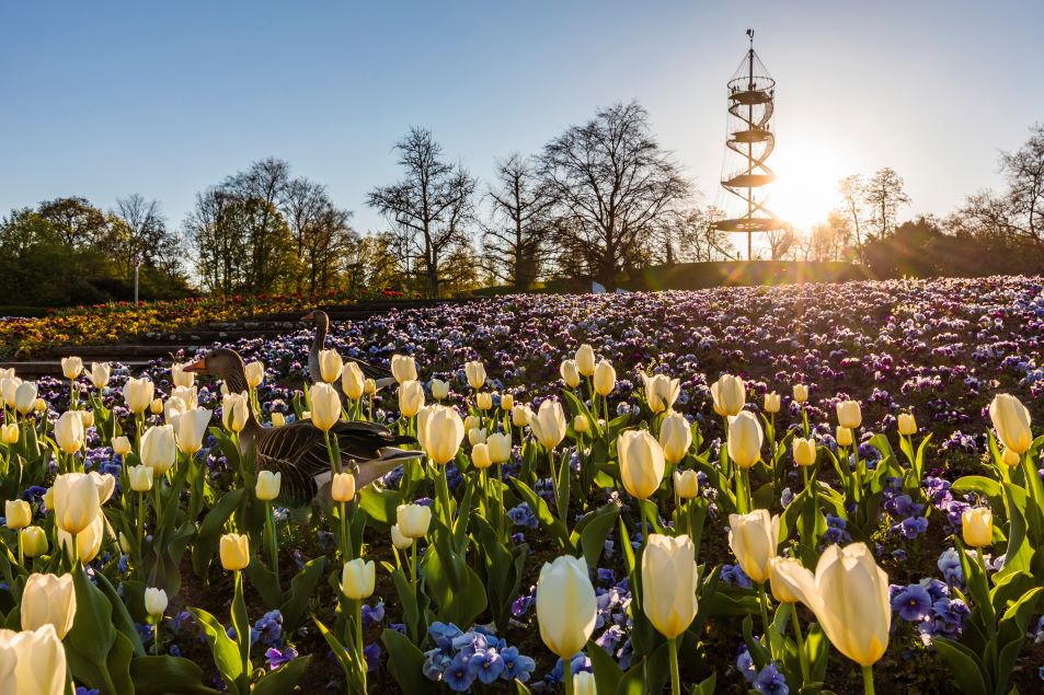 Stoccarda a primavera